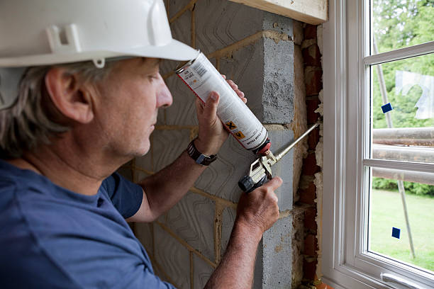 Best Spray Foam Insulation  in Stewartville, MN